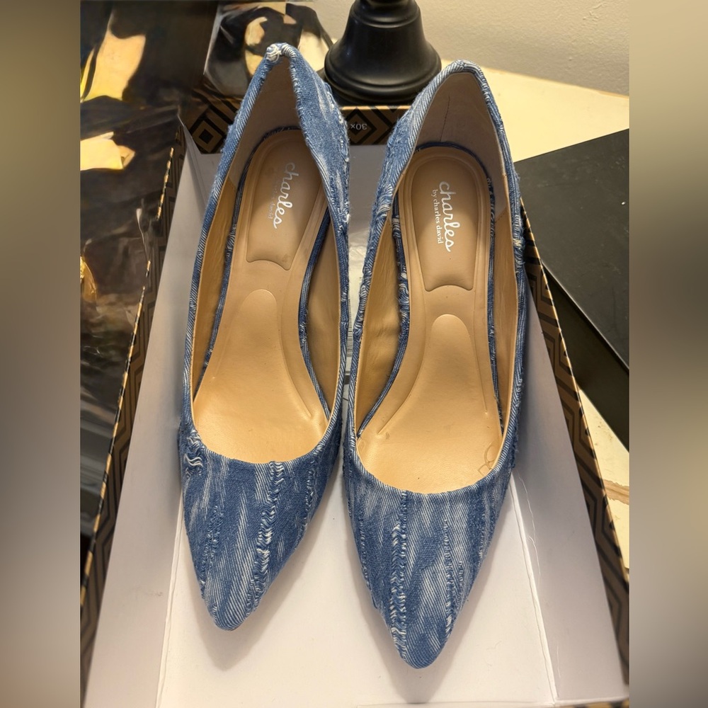 Blue Denim Women's Shoes